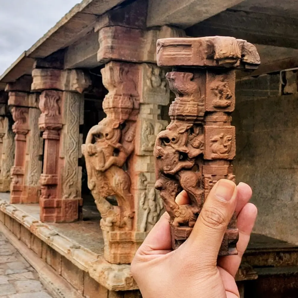 </p> <h6>The Map of the World</h6> <p>